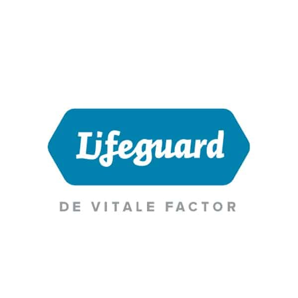 Lifeguard logo Flow Development