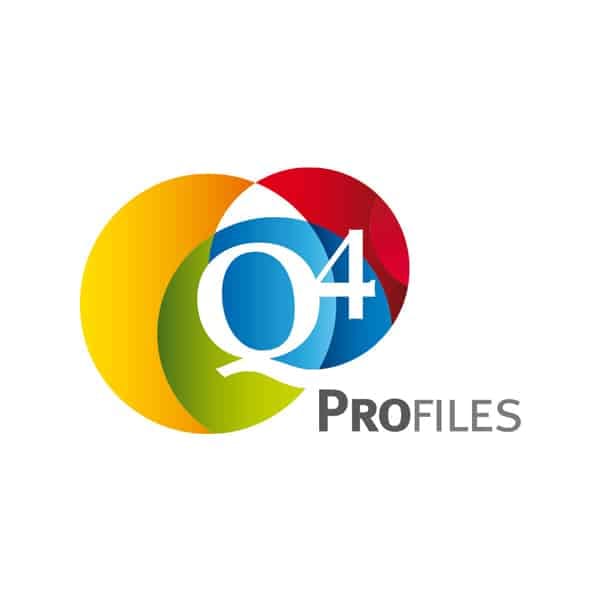 Q4 profiles logo Flow Development